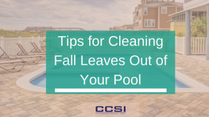 clean leaves out of pool